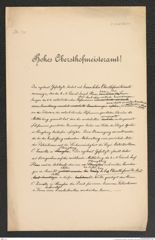 k.k. naturhistorisches Hofmuseum, Intendanzakten 1885-1896 (Hauer), Aktenzahl Z.338/1891, Seite 1